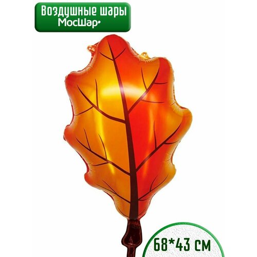 ������ ������ ��������� ��� �������������� �� 1 ��������, ���� ���� ����