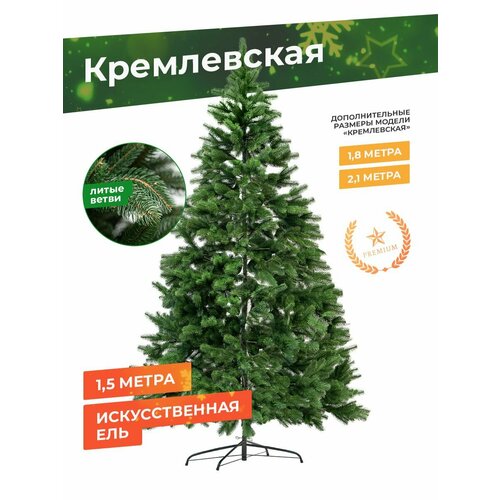 ������ ������ ���� ����� ������������� 