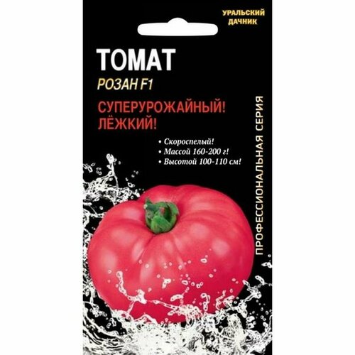 ������ ������ ������ ����� ����� (�����������), �����������, F1 ���� 12�� ����