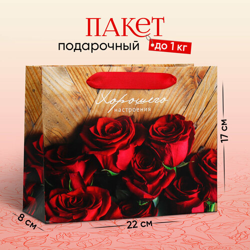 ������ ������ ����� ���������� ��������� �����������, 22 ? 17.5 ? 8 �� ����