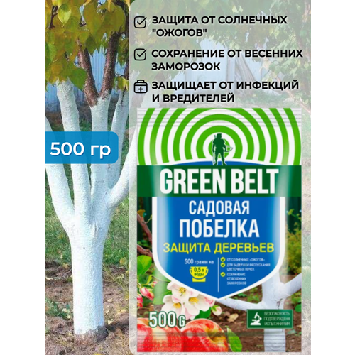    Green Belt ( ) 500          -     , -,   