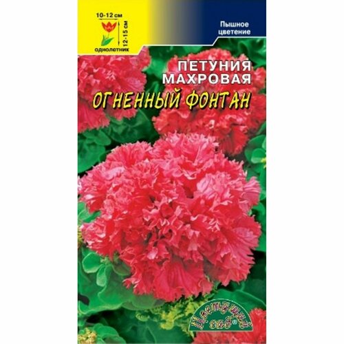 ������ ������ ������ ������� �������� ������, ��������, ����������, (�������� ���) 10�� ����