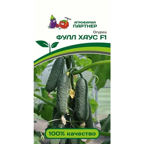 ������ ������ ������ ������ ��������� ������� 