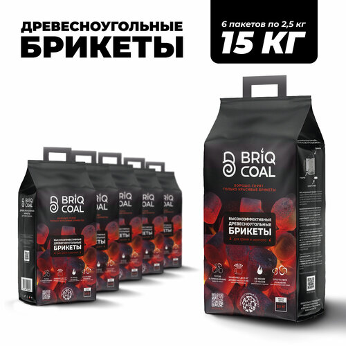 ������ ������ 6 �������� BriqPACK �� 2.5 �� - ����������������� ���������������� ������� BRIQCOAL ����