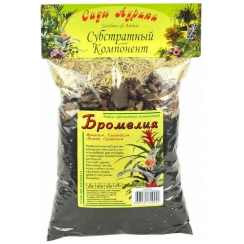 ������ ������ �������� �������� 1 � (1 ��.) ����