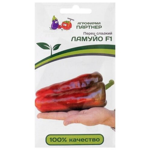 ������ ������ ������ ����� ������� 