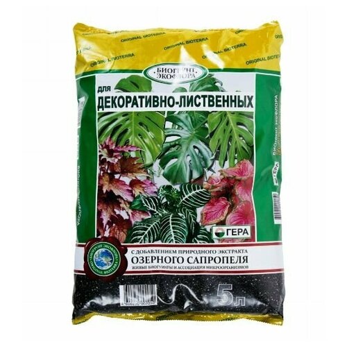 ������ ������ ����� ��� �����������-���������� �������� 5 � ����