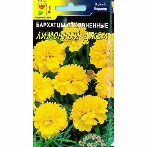 ������ ������ ������ �������� �������� ����, ����. (����������) (�������� ���) 0,1� ����