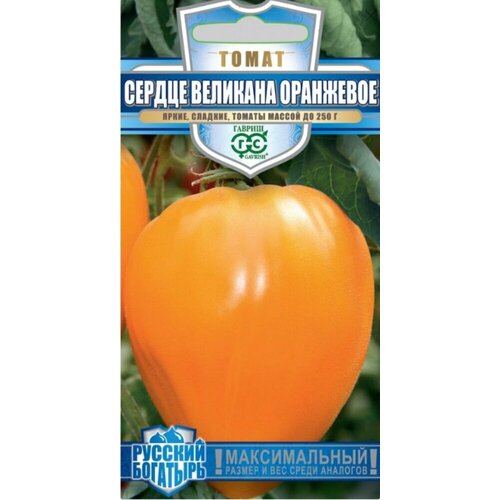 ������ ������ ������ ����� ������ �������� ��������� 0,05� ����� (������) ������� �������� ����