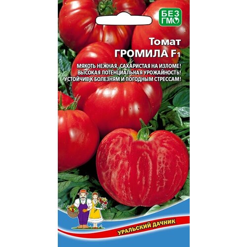 ������ ������ ������ ����� ������� F1 12�� ��� ������ (��������� ������) ����