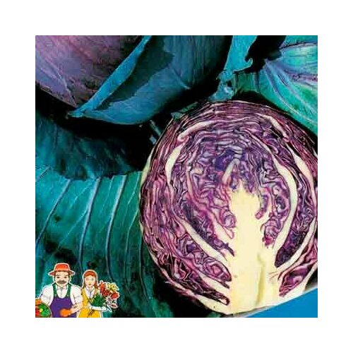 ������ ������ ������ ������� �������������� ������� ��������� 0.2� ������ (��������� ������) ����