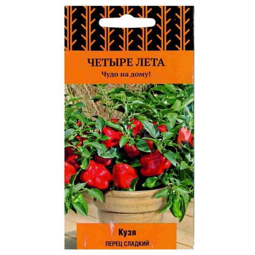 ������ ������ ����� ������� ���� 5�� ����� ����