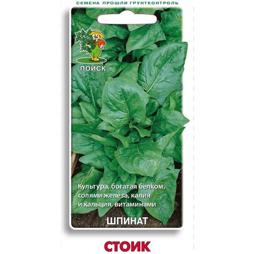 ������ ������ ������� ������ 