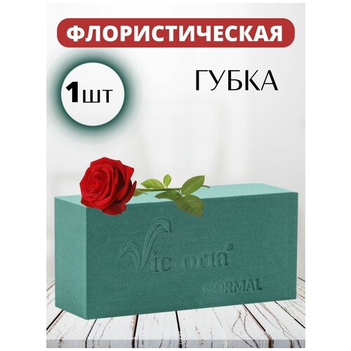 ������ ������ ����� �������������� ����