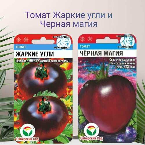 ������ ������ ����� ������ ���� � ������ ����� 2 ������ ����