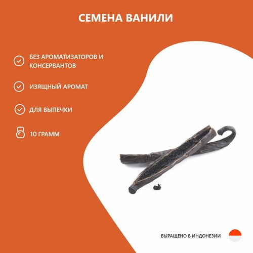 ������ ������ ������ ������ Kings_Vanilla, 10 ����� ����