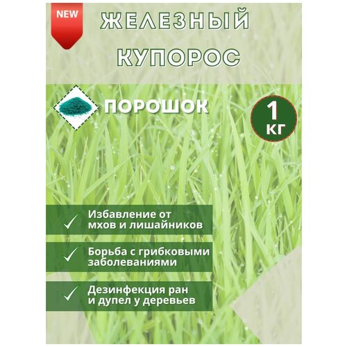 ������ ������ �������� �������, 1�� . ��������������� �������� ��� ������ �������� �� �������� � ���������� ����