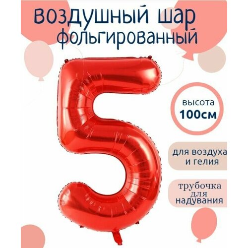 ������ ������ ����� 5 �������������� ����� ������� 102�� ����