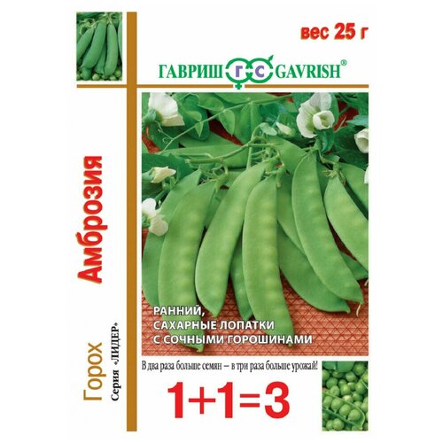 ������ ������ ����� ��������, ������ ������ 1+1 25� ����