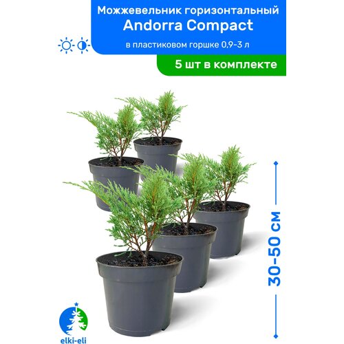     Andorra Compact ( ) 30-50     0,9-3 , ,   ,   5  