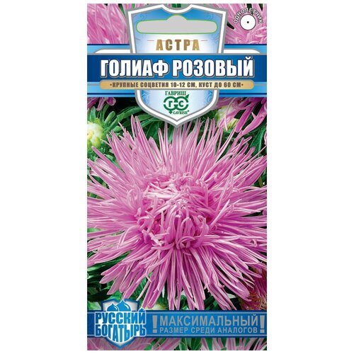 ������ ������ ������. ����� ���������� 