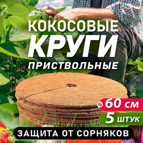 ������ ������ ������������ ���� �� ���������� �������, ������� 60 ��, 5 ���� ����