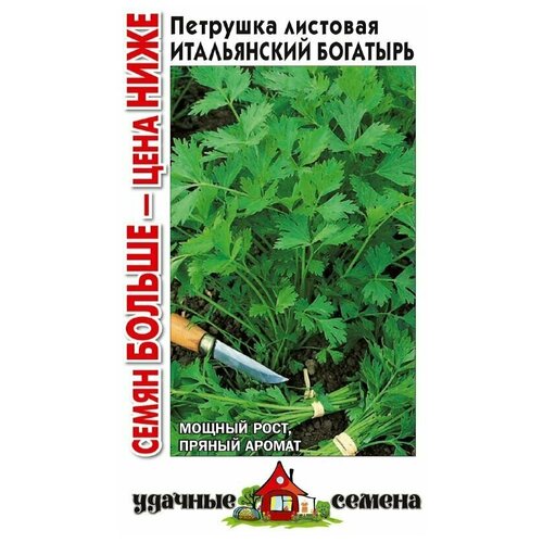 ������ ������ ������. �������� 