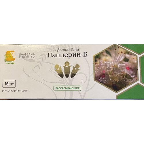 ������ ������ ������������� ����-����� �������� �, �������� ���������, 16�� ����