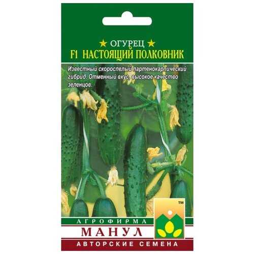 ������ ������ ������ F1 ��������� ��������� 10 �� ����� ����