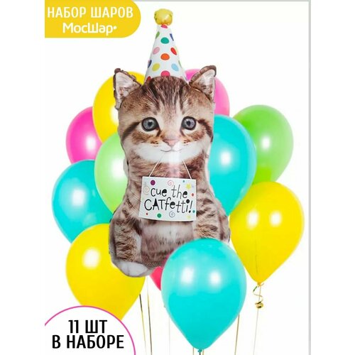 ������ ������ ����� ������� �� ���� �������� ����