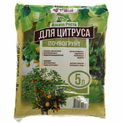 ������ ������ ���������� ��� ������� 5 � ����