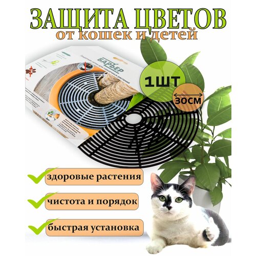 ������ ������ 1 �� ������ - ������� ��� �������� ������ ����