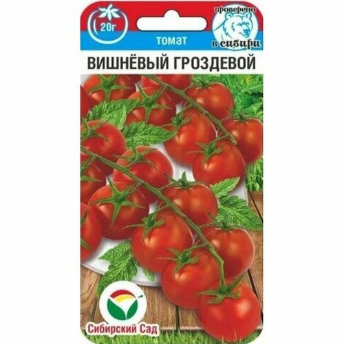 ������ ������ ������ ����� �������� ��������� (������������) ��. (��������� ���) 20�� ����