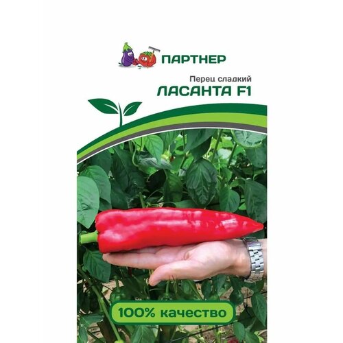 ������ ������ ������ ����� �������� 