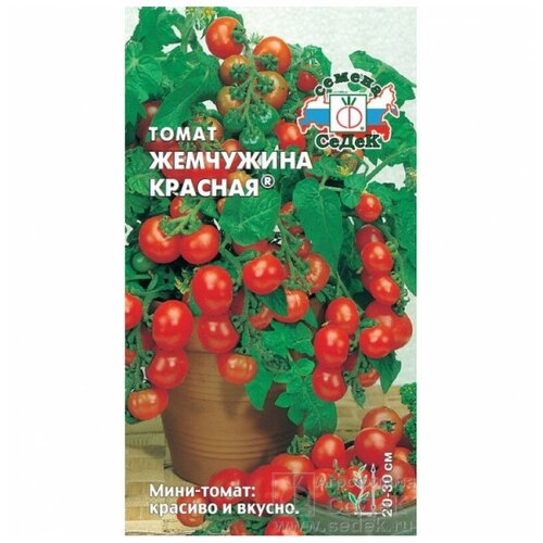 ������ ������ ����� ��������� �������, 0,1 � ����