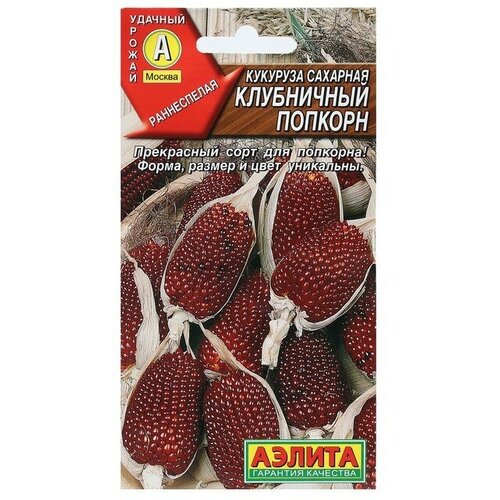 ������ ������ ������ �������� �������� 