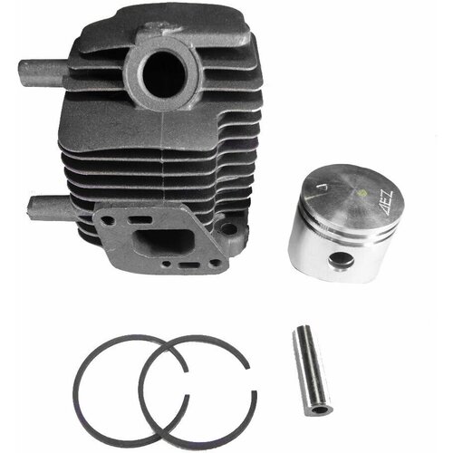 ������ ������ ��������� ������ ECHO SRM 22 ����