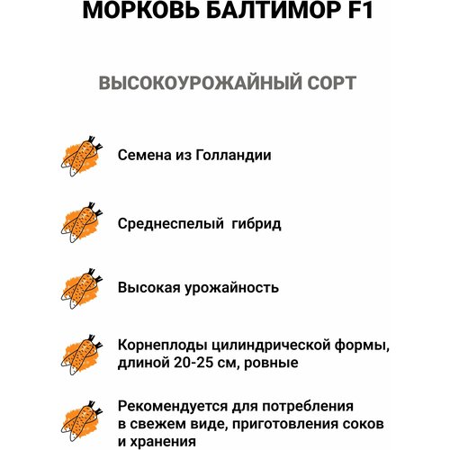 ������ ������ ������� �������� F1* ����