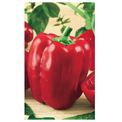 ������ ������ ������ ����� ������� ������ ������� F1 (��) �/� ����