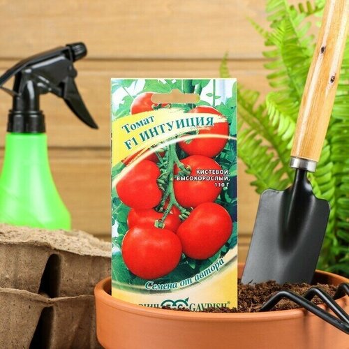 ������ ������ ������ ����� 