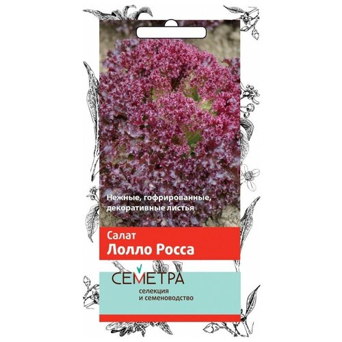 ������ ������ ������ ����� ����� ����� 1��. ����