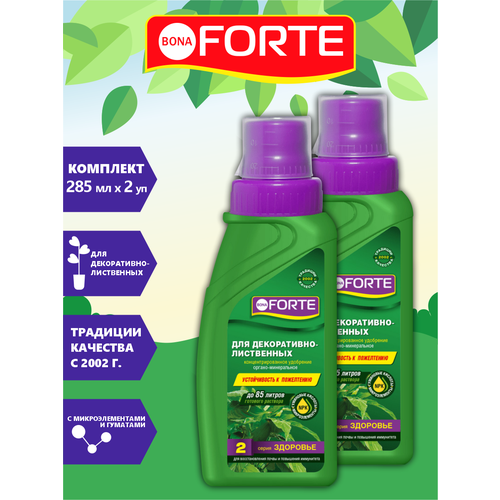   Bona Forte    -  285 . x 2 .   -     , -,   