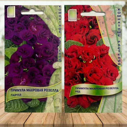 ������ ������ ������ ������ ��� ���� � ���� ������� ��������, ����� 2 ��. ����