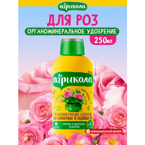 ������ ������ ����������������� ��������� 