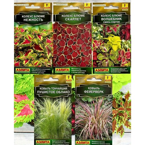 ������ ������ ������ ������ ��� ���� � ���� ������, ������. ����� 5 �������� ����