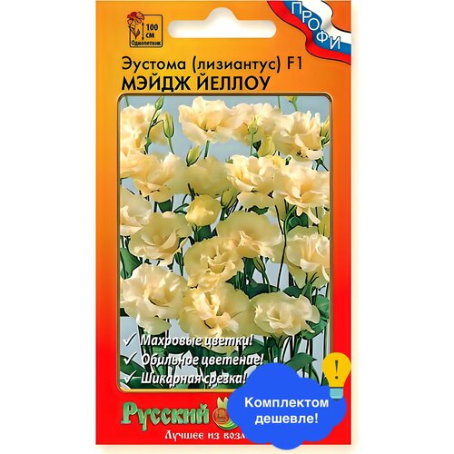 ������ ������ ����� ������� ��������� ����� ������ F1 ����