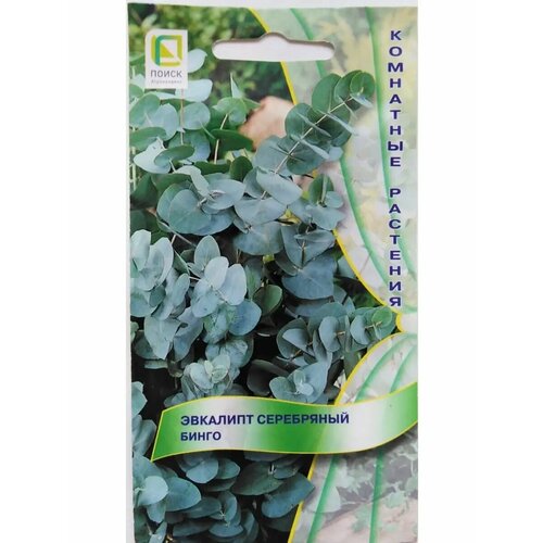 ������ ������ �������� ���������� ����� ����