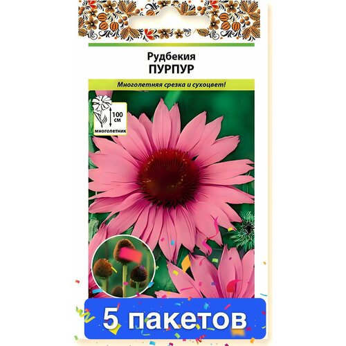 ������ ������ ������ �������� ������ 5 ������� ����