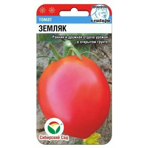 ������ ������ ������ ����� ������ 20�� ��� ������ (��������� ���) ����