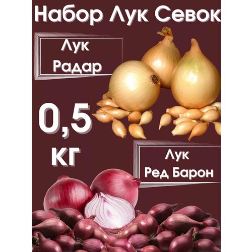 ������ ������ ����� ��� ����� 1 �� ����